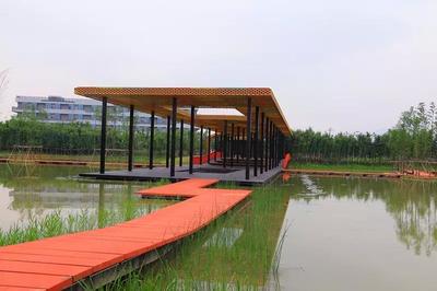 今天蘭溪揚子江生態(tài)公園正式開園_項目