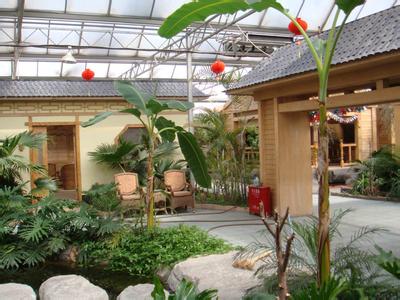 專業(yè)設(shè)計 施工各種鋼結(jié)構(gòu)智能溫室、鋼結(jié)構(gòu)室內(nèi)園林景觀生態(tài)園工程、網(wǎng)架花卉溫室工程