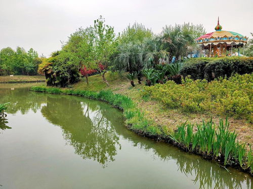 四季生態(tài)園