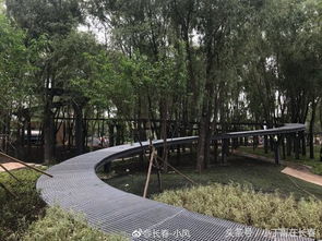 長春水文化生態園 預計十一前開放