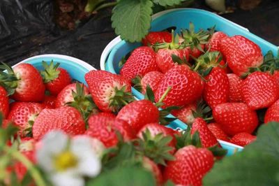 放假了，一定要去生態園的6個理由！