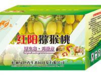 桂林綠色香生態園 山水間的生態綠洲，可持續發展的文旅新名片