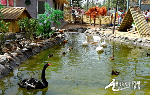 助力冬奧丨華北奕豐生態(tài)園戲雪樂園即將開園，生態(tài)旅游與冰雪運(yùn)動完美融合