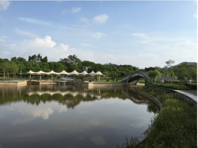 東進(jìn)下的坪山，你還認(rèn)識嗎？探秘生態(tài)園新篇