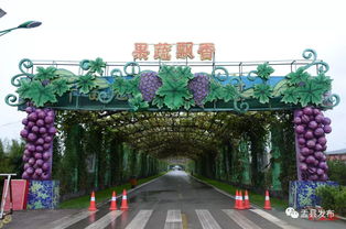 山西華北奕豐生態(tài)園特色農(nóng)產(chǎn)品及旅游產(chǎn)品推介會盛大啟動