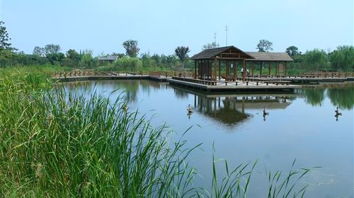 國慶樂游 上海出發(fā)，千燈古鎮(zhèn)與大唐生態(tài)園一日探幽之旅