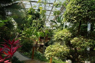 太倉鷺園濕地生態(tài)園 城市綠肺與自然交響的詩意棲居