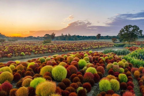 長三角文旅一體化再結碩果 2022年生態(tài)主題專項旅游產(chǎn)品權威發(fā)布